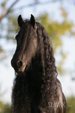 staj_ufonek2367.jpg