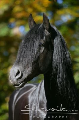 staj_ufonek3162.jpg