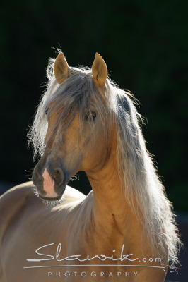 staj_ufonek2636.jpg