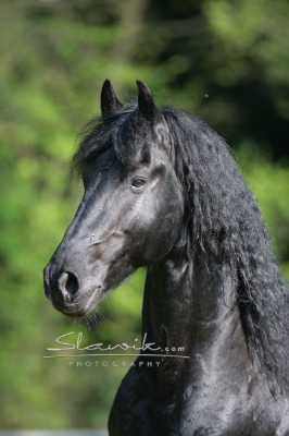 staj_ufonek1185.jpg
