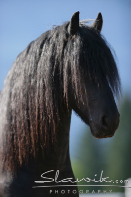 staj_ufonek1640.jpg
